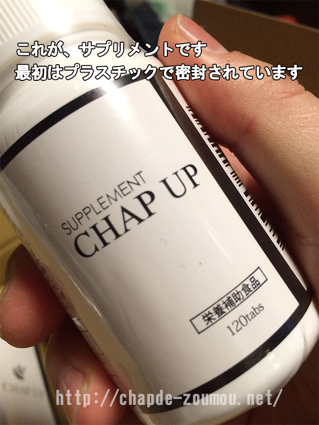 chapup02