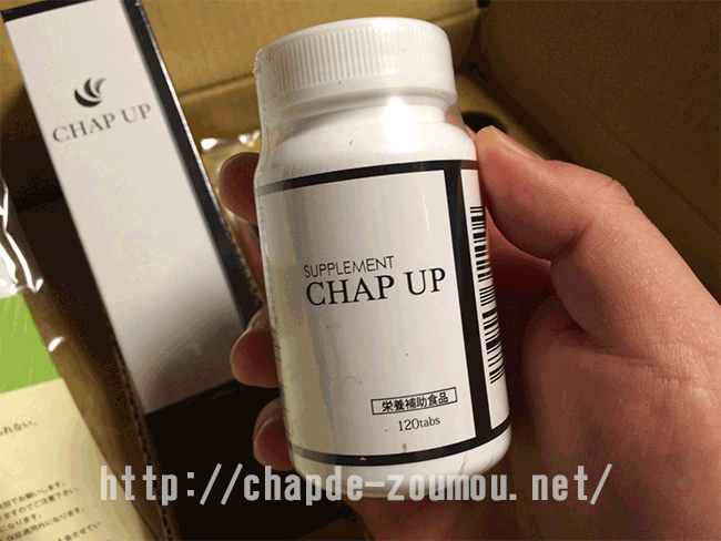 chapup03